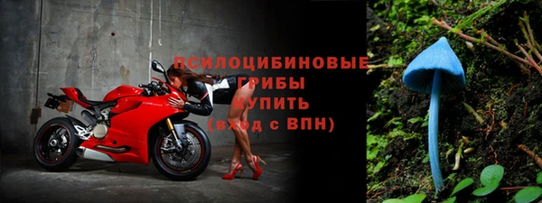 герыч Абаза