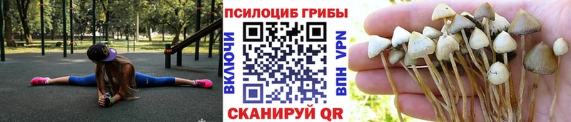 Галлюциногенные грибы Cubensis  Обоянь 